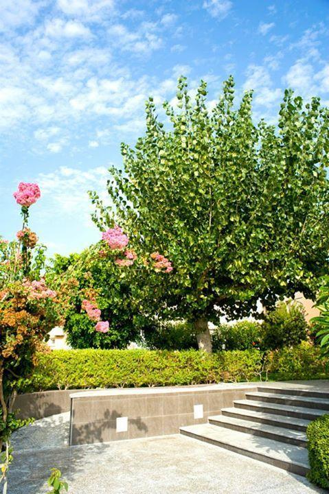 Alfa Hotel Apartments Gerani (Chania) Exterior foto